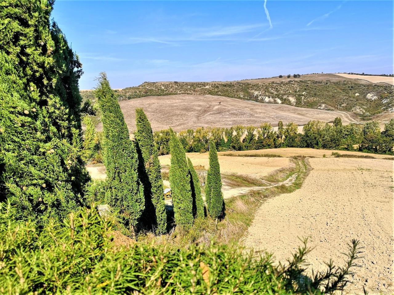 Agriturismo Palazzo Conti - B Pienza Exterior photo